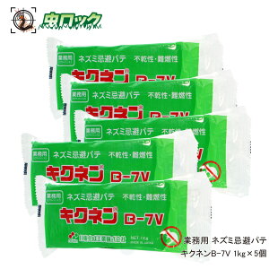 Ɩp lY~pe LNlB-7V 1kg×5 _炩 JvTCV hlHp lY~Nh~