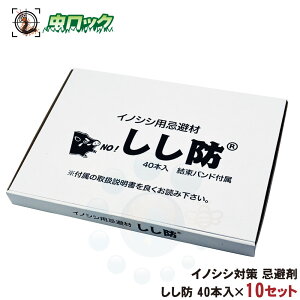   CmVV ΍ h 40{×10Zbg L  ގU N   ̂ _