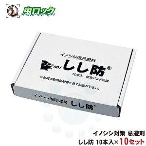    CmVV ΍ h 10{×10Zbg L ގU N   ̂ _