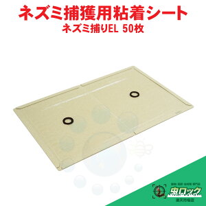 lY~쏜 lY~߂ SV[g Ɩp lY~߂ EL 50 lY~߂ S l쏜 lY~Ƃ vdl