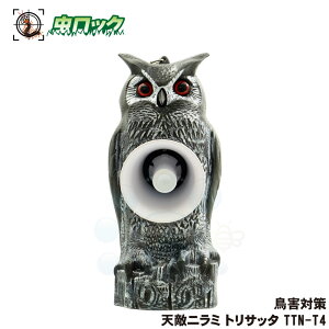 悯 gTb^ TTN-T5 VGj~ ^CK[ { JX Nh XY Q  ΍ ӂ낤  Њd _ h ߖ H q {{ {