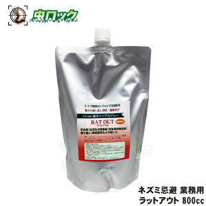 bgAEg 800cc lY~  h n[u Xv[   ގ  c h~ ގU ǂo  V䗠 u RatOut