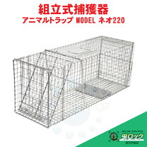 楽天市場】アニマルトラップ 両扉式の通販