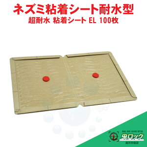 ϐ SV[g EL 100 Ɩp SlY~߂ SV[g Sgbv ubN^