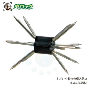 lY~쏜 ܂т lY~Z 1 lY~΍ ǂ C^` }LrV V  ʔQ