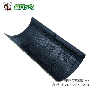 lY~쏜 lY~߂ SV[g lY~SV[g v{[hF 100 Ɩp S yz