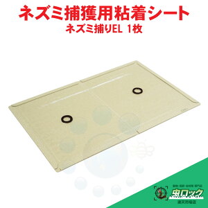 lY~쏜 lY~߂ SV[g Ɩp lY~߂ EL 1y䂤pPbgΉzlY~SV[g