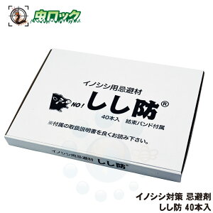   CmVV ΍ h 40{ L  ގU N   ̂ _