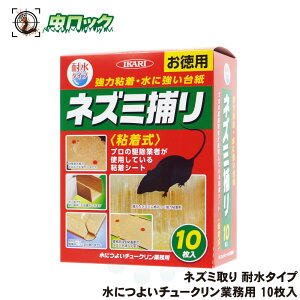 lY~쏜 lY~߂ SV[g ɂ悢`[NƖp 10 ϐ CJ