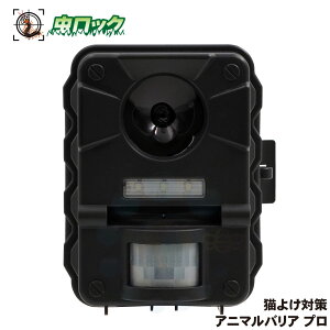 L悯 Aj}oAv PRO g Aj}oA ŏ f lR΍  ˂悯 ǔL  K[fQ A ԏ K[W  r炷 L΍