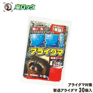 ACO}΍ ރACO} 30  Q ΍ _앨  hL hL ȒP VRA