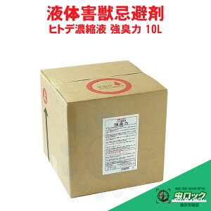 qgf  Qb qgfZkt L 10L  T ގ X  Q CmVV L 