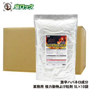  悯 Ɩp ͓悯 5L×10 hnolǉ͊