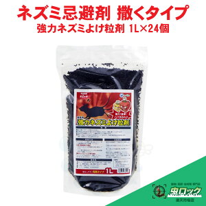 lY~ ̓lY~悯 1L×24 Ɩp ˂݂L ǂ lY~悯 lY~΍