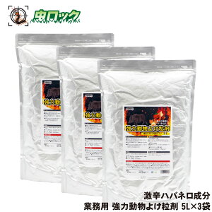   Ɩp ͓悯 5L×3 ACO} nNrV