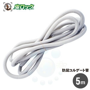 ˂ݑ΍ hlRQ[g 5m zJo[ lY~zی