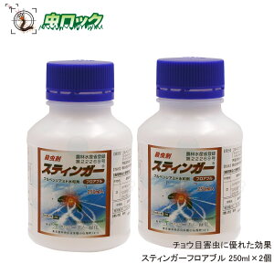  ؗpE XeBK[tAu 250ml×2 j`m[Ή Uz PV XWLgE VocgK ^}iK ђ 