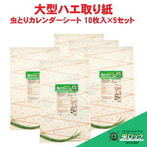 nG莆 ^ ƂJ_[V[g 10×5Zbg {ɓ؎  墑΍ nG쏜 ͔S {{ {