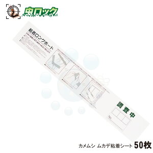 JV Nh~ ͕ߊl Jf JVSV[g 50 OTCYS