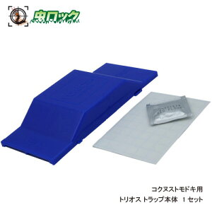 HiH q Q΍ RNkXghL쏜 gIX gbv{̃Zbg 1Zbg RNkXghLp