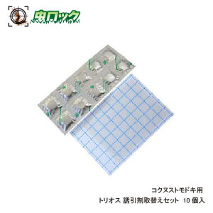 RNkXghLp gIX U܎ւZbg 10 xmt[o[ yz