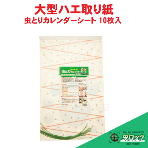 nG莆 ^ ƂJ_[V[g 10 {ɓ؎  墑΍ nG쏜 ͔S {{ {