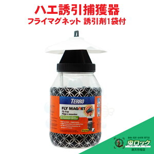 ^nG NoG LoG MoGUߊl nG쏜tC}Olbg U1ܕt