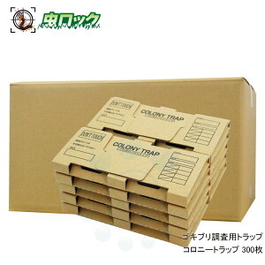 SLup gbv Rj[gbv 300 `olSLu ΍ SLu  HX HiH