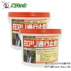 VA LNCV΍ Aʍs~(450g)×2ʁyZbgz