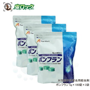 XJ ގ {t 5g×100×3 E XJ c `EoG RoG 쏜 ގ A ΍ HX ~[ OXgbv Q΍