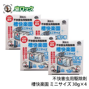 򉻑̃`EoG XJ쏜 y ~jTCY 30g×4