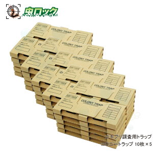 SLup gbv Rj[gbv 10×5 SLu  `olSLu 쏜 j^O