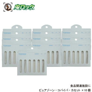 Hi֘A{ݗpi sA][ RpCo JZbg 10 y䂤pPbgΉz