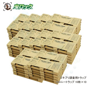 SLup gbv Rj[gbv 10×10 SLu  `olSLu 쏜 j^O