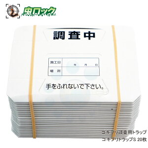 SLupgbv SLugbvS 20 SLu   ߊl gbv SV[g Ԃp