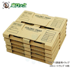 SLup gbv Rj[gbv 10 SLu  `olSLu 쏜 j^O