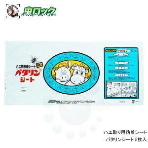 nGpSV[g p^V[g 5 ͔S͂ŃnG𓦂Ȃ