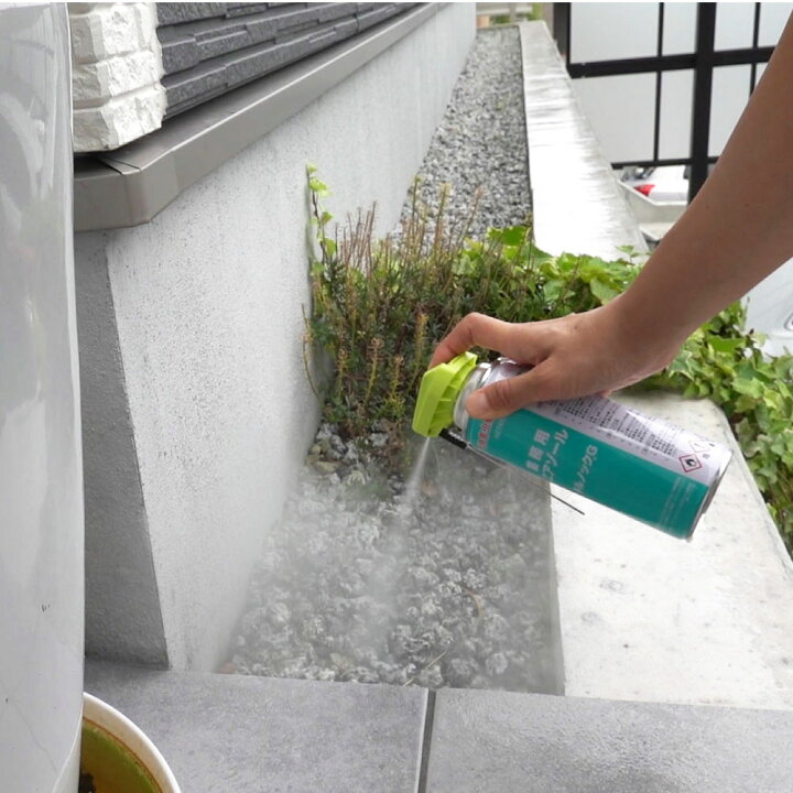 楽天市場 チャタテムシ退治 コナチャタテムシ駆除用スプレー キルノックg 4mlタバコシバンムシ シミ アリガタバチ 食品害虫対策 北海道 沖縄 離島配送不可 虫ロック 楽天市場店