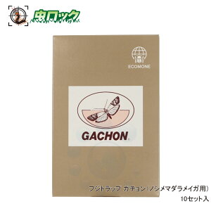 mV}_CKp tFgbv tWgbv K` yz