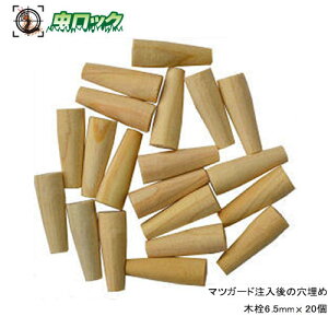  gp ی ؐ6.5mm×20 }cK[ȟ y䂤pPbgΉz