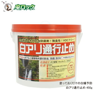 VA LNCV쏜 Aʍs~(450g) hĂ̔a\h