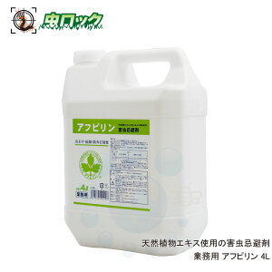 Ats 4L RN]EV VoV HiH̊Q Ɩp TCYo yz