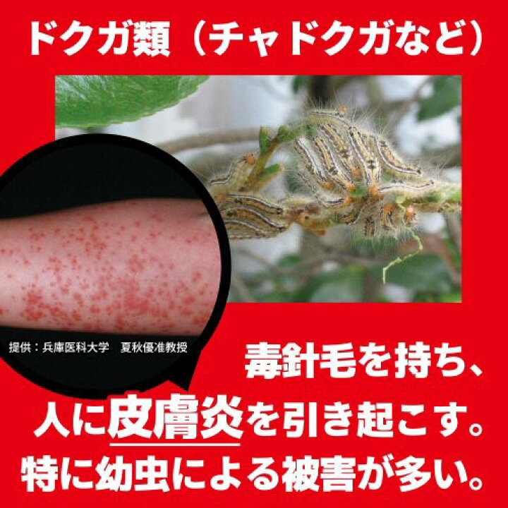 楽天市場 チャドクガ 駆除 防除剤 チャドクガ毒針毛固着剤 180ml 3本 毛虫 退治 飛散防止 期間限定送料無料 北海道 沖縄 離島配送不可 虫ロック 楽天市場店