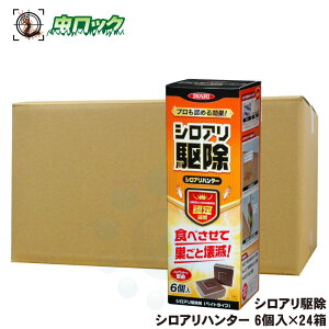 VA쏜 a쏜 VAn^[ 6×24 CJ  A }gVA CGVA쏜 y ؕ   \h 쏜 h 