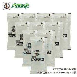 y o̔ z `EoGoX^[ 25g×10 RoG 쏜 `EoG 쏜 c Ɩp E A C ry䂤pPbgΉz