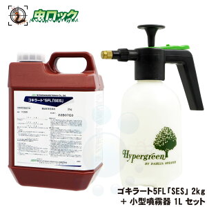 `olSLu쏜 SL[g5FLuSESv2kg 1L^NZbgyhp򕔊Oizm~ 싞 CG_jގyz