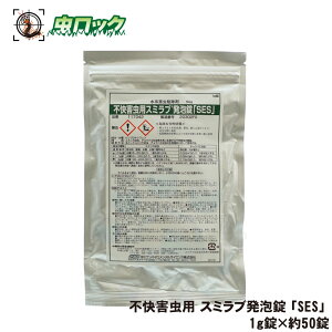 XJ ΍ jQ sQp X~uAuSESv 1g×50 y䂤pPbgΉz XJc `EoGc̋쏜 svLVtF