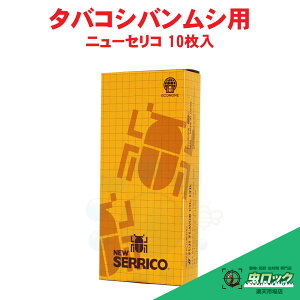 ^oRVoV UߊlZbg j[ZR 10 tFgbv Q HiQ U ߊlSV[g VoV΍ 䏊 Q΍ 