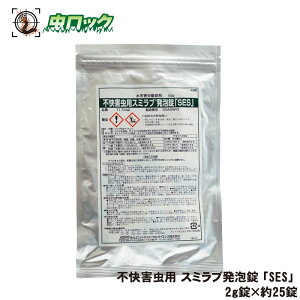 XJ ΍ jQ `EoG X~uA uSESv 2g×25 y䂤pPbgΉzƖp sQp 쏜 svLVtF