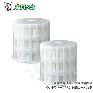 t}L[ Egx[vPRO 6.0pJ[gbW P1dr 6{t    E Ɩp dr sQ 쏜@ UE